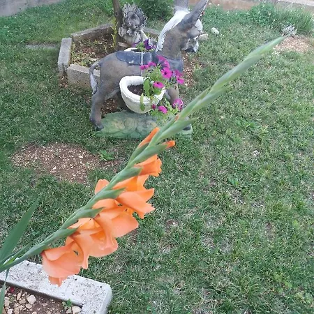 וילה Ella טרוגיר